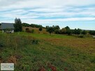 Działka budowlana Morawica Wola Morawicka - 10