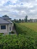 Usługi pielęgnacji ogrodów, przycinanie żywopłotów, drzew - 13