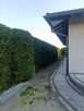Usługi pielęgnacji ogrodów, przycinanie żywopłotów, drzew - 16
