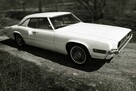Ford Thunderbird - 5
