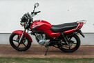 Yamaha YBR 125 R 2009  Raty Transport Największy Wybór Moto w PL cb cbf CB 125F - 6