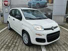 Fiat Panda 1,0 70KM - ICON - 2