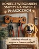 Stylowy psi wieszak - 6