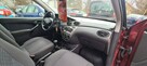 Ford Focus GAZ salon1.6 FX stan BARDZO DOBRY Bezwypadkowy GarażowanyBEZ KOROZJI - 10