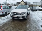 Volkswagen Tiguan Bezwypadkowy Serwisowany Kamera Navi Parkroniki CarPlay ParkAssist - 2