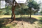Duża działka przy lesie w Wielgowie - 6