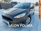 Ford Focus Salon Polska
