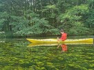 Spływ kajakowy Krutyń – Ukta | AS-TOUR Mazury - 10