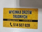Wycinka drzew Trudnych