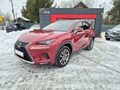 Lexus NX Bezwypadkowy - 2