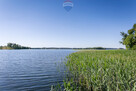 Działka 943 m² | 200 m od jeziora | Kretowiny, las - 6