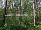 Działka leśna Grabina Radziwiłłowska gm. Puszcza Mariańska
