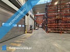GOTOWA BAZA DLA FIRMY: HALA+BIURA+MAGAZYN DO WYNAJĘCIA/ SPRZEDAŻY - 3