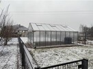 Szklarnia - 1/2. - 2