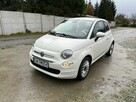 Fiat 500 1.0 Lounge 70KM Hybrid - Niski przebieg, serwisowan - 8