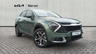 Kia Sportage 1.6 HEV 230 KM Business Line / Adaptacyjny LED / Navi / Salon PL - 3