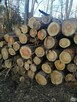 Suche drewno opałowe RÓŻNE! Możliwy transport - 4