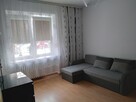 Mieszkanie do wynajęcia 33m2 ul. Konopnickiej - Mielec - 3