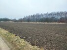 Działka inwestycyjna 1,8592 ha centrum Pyskowic - 3