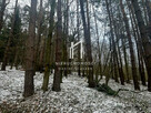 Działka leśna Pietrusza Wola gm. Wojaszówka - 3