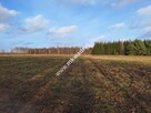 Niedroga działka w uroczej okolicy - 2