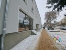 Lokal użytkowy w centrum - parter, witryna - 11