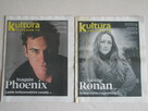 Kultura – Program TV Dziennik Gazeta Prawna lata 2010 – 2014 - 7