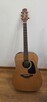 Gitara Takamine P1D - 4