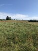 NOWA DZIAŁKA 1100m2 5KM OD BIAŁEGOSTOKU-OKAZJA 199zł/m2 !2 ! - 6