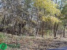 Działka w otulinie Lasu Młochowskiego - 3