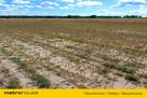 Działka rolna Dąbkowice Dolne/ Łowicza -13 300m2 - 2