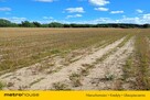 Działka rolna Dąbkowice Dolne/ Łowicza -13 300m2 - 3