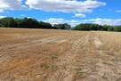 Działka rolna Dąbkowice Dolne/ Łowicza -13 300m2 - 5