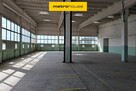 Wynajem hali w Toruniu o powierzchni  1518,4 m2. - 3