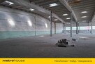 Wynajem hali w Toruniu o powierzchni  1518,4 m2. - 7