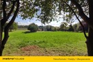 Działka 2057 m² cisza, zieleń, świetna lokalizacja - 2