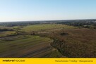 OKAZJA Działka 4000 m2 pod Radzyminem tylko 65ooo - 3
