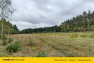 Na sprzedaż 3-ha działka leśna w okolicy Mławy - 7