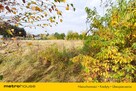 Działka 1246 m2, na sprzedaż - Nieżywięć. - 7