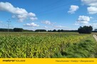 Działka rolna w Urowie z warunkami zabudowy. - 4