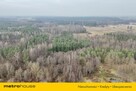 Działka leśna w otoczeniu parku krajobrazowego - 6