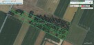 Działka rolna 2,86 ha - atrakcyjna cena - Wikcinek - 4