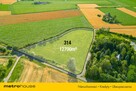 Działka  1,27 ha Wola Miedniewska   4 km od CPK, - 3