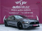 Ford Mustang * Oferta Prywatna * 2.3 Benzyna 317KM * Świetny Stan * 80 tyś KM - 1