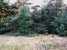 Działka budowlana Niemianowice gm. Gózd, - 3