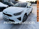 Kia Cee'd Salon Polska bezwypadkowy