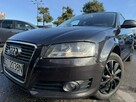 Audi A3 Klimatronic 2-stref, 2 kpl. kół, Ele szyby 4x, Ele lusterka - 2