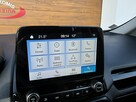 Ford EcoSport serwis ASO - 12