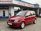 Fiat Panda 1 Właściciel, bezwypadkowy,Salon Polska - 1