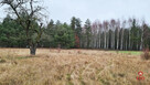 Działka budowlana Pieńki gm. Michałowo, - 4